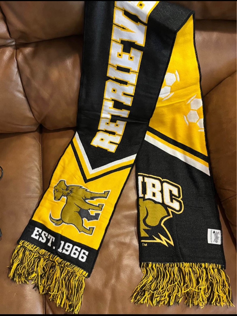 FINAL PRICE- 🌸UMBC Retriever Soccer Scarf